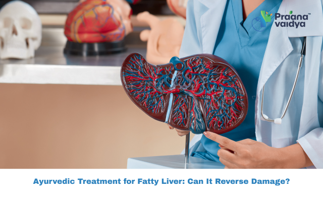 Ayurvedic Treatment for Fatty Liver: Can Herbs Really Reverse Liver Damage?